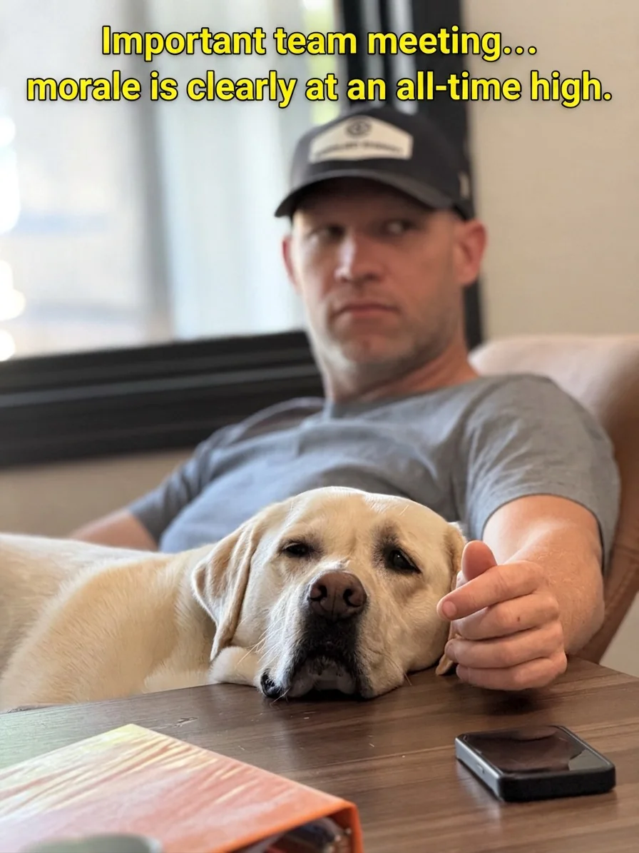 A relaxed team meeting with a yellow Labrador resting at the table